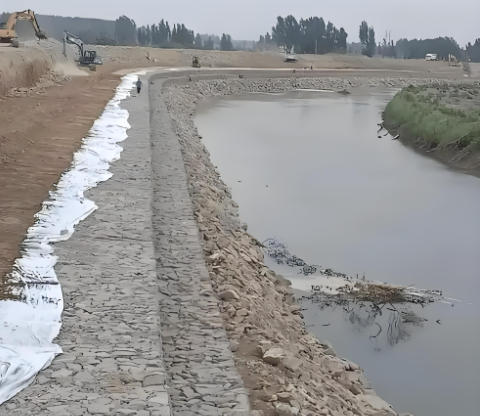 नवीनतम कंपनी ब्लॉग के बारे में Gabion Mesh Machinery Empowering Green Infrastructure and Eco-Restoration Projects